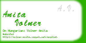 anita volner business card